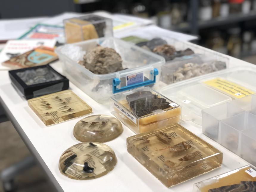 Materials from a Science Loan Box
