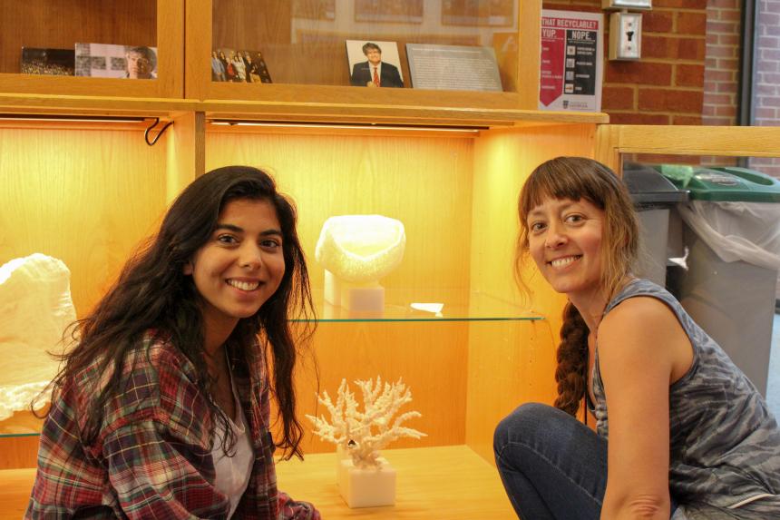 Intern helps with exhibit installation