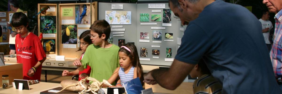 Vistors to Museum Exhibits During Insectival, held yearly at State Botanical Garden