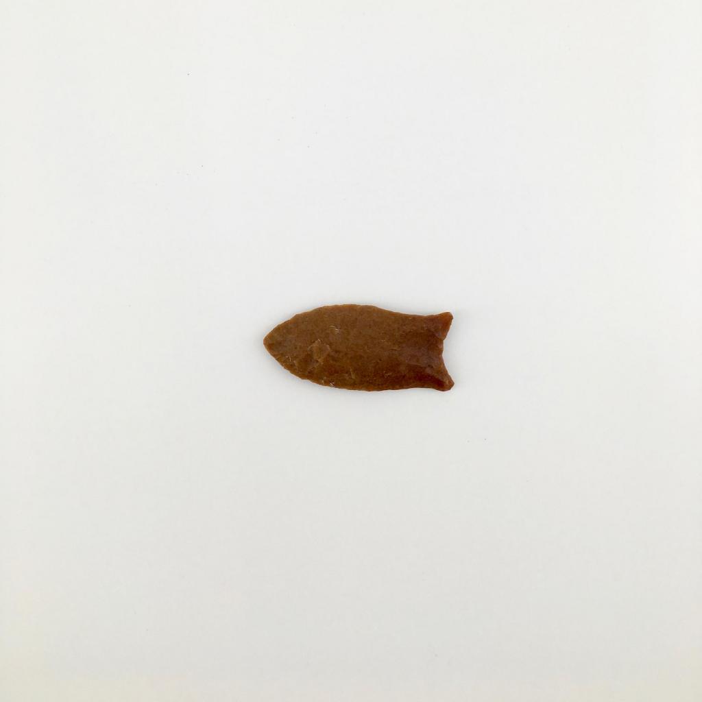 This Clovis point is the oldest artifact in the Archaeology collection.