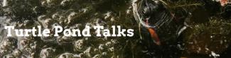 Turtle Pond Talks