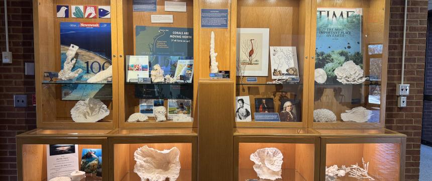 The exhibition case in Odum, which currently houses Dr. Porter's corals display.