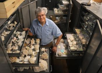 An image of Dr. James W. Porter standing among the GMNH's shell collection.