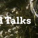 Turtle Pond Talks